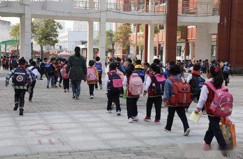 郑州锦绣小学爆料新闻最新,揭秘校园安全事件背后的真相